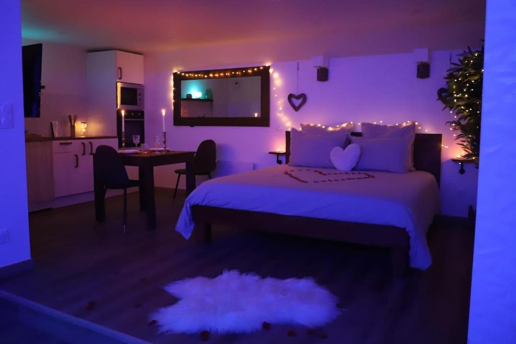Love Room Unique - Sauna / Jacuzzi Charleville-Mézières المظهر الخارجي الصورة
